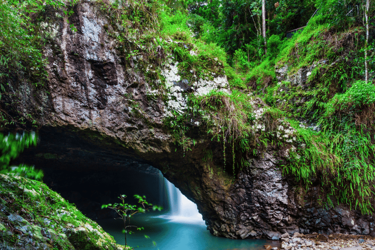 Spring Brook National Park Driving Tour with an APPSpring Brook National Park Self Guided Driving Tour