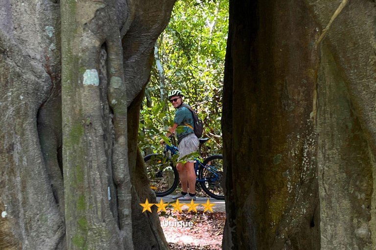 Angkor Wat Sunrise Bike Tour with Monk Blessing & Lunch