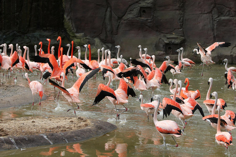 Zoo de Leipzig : billet d&#039;entrée