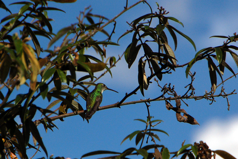 2 Days - Short Inca Trail to MachuPicchu