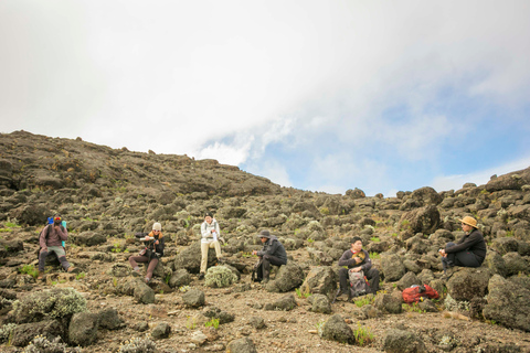 6 giorni di trekking Kilimanjaro Machame Route