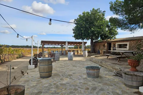 BESUCH BODEGAS BORDOY ,DEGUSTACION 5 WEINE, FINGER FOOD