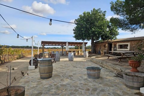 Serata di tapas presso Bodegas Bordoy : ( min. 10 pers. max. 12 pers.)