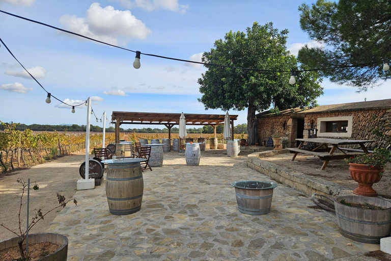 Noche de tapas en Bodegas Bordoy : ( min. 10 pers. max. 12 pers.)