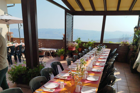 Milan: Oltrepò Pavese Real Grape Stomping,Wine Tasting Lunch