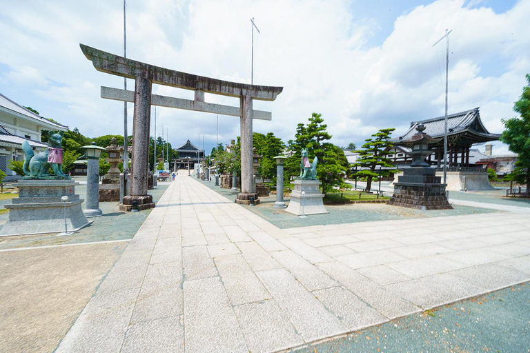 Nagoya: Toyokawa Inari Shrine, Fruit Picking & Shopping Option D: Inari Shrine, Picking, Mitsui Outlet