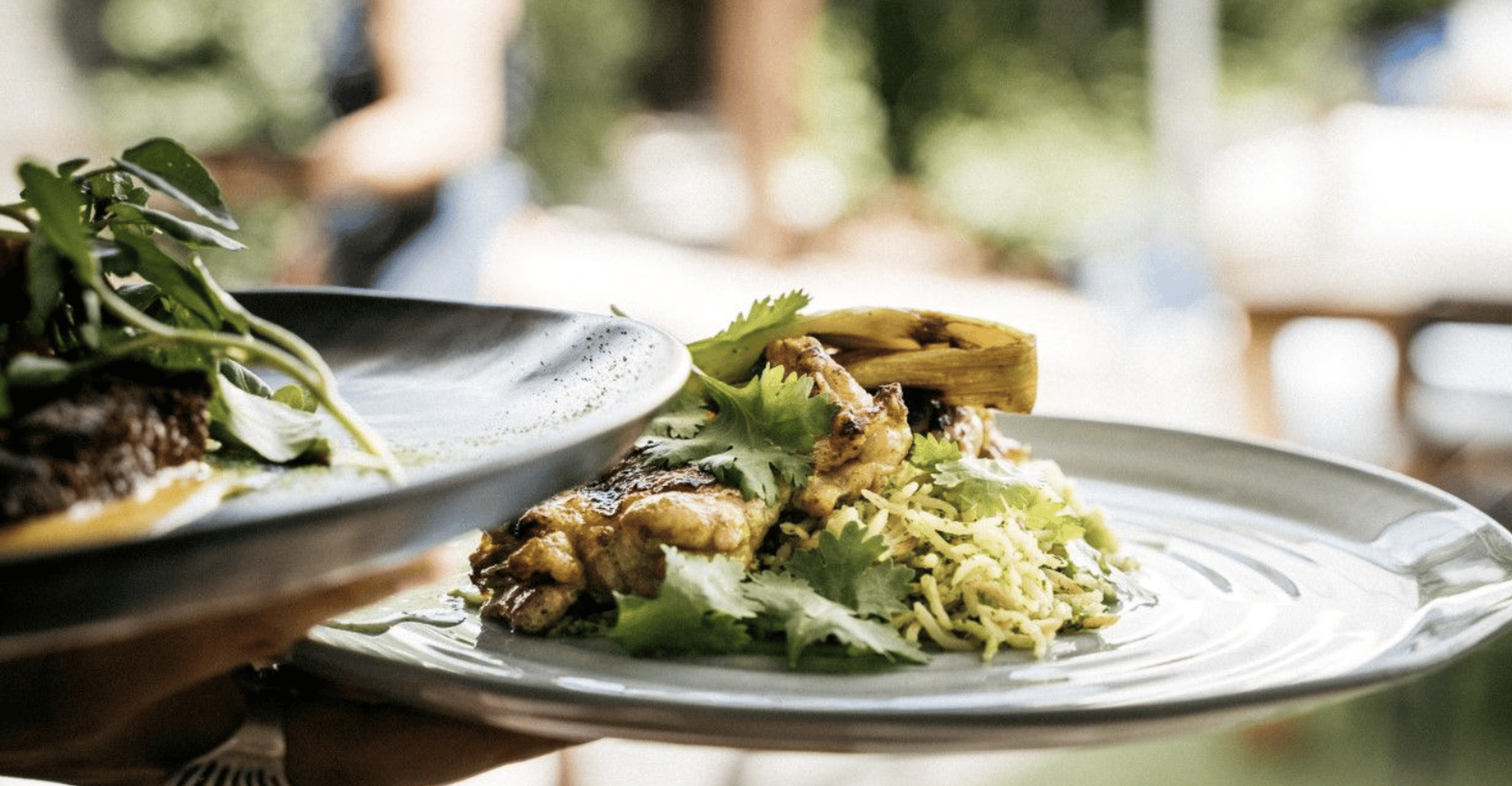 Waiheke Island, tour met wijnproeverijen en restaurantlunch - Housity