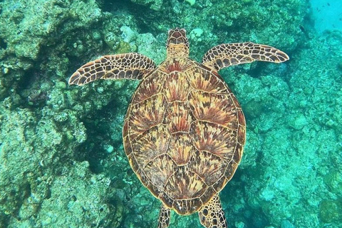 Bali: Snorkeling Blue Lagoon & Tanjung Jepun All-Inclusive Blue lagoon & Tanjung Jepun Snorkeling All-inclusive