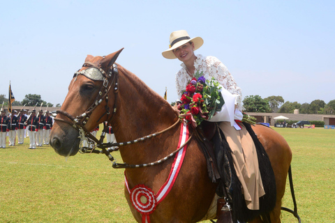 Lima: Buffet dinner, dance show : Peruvian Paso Horses :