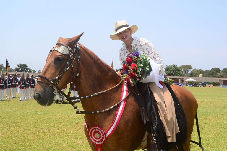 Lima : Dîner buffet, spectacle de danse : Chevaux de Paso péruvien :