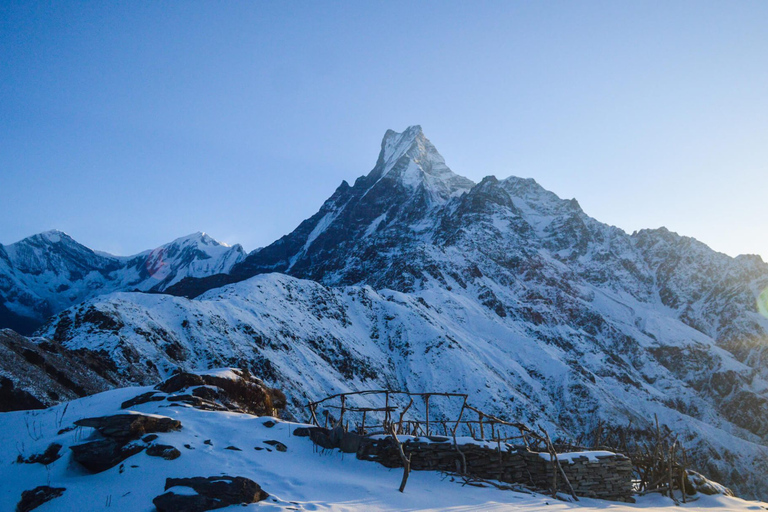 Mardi Himal Trek : 5 jours de Mardi Trek depuis Pokhara(Copie de) Mardi Himal Trek : 5 jours Mardi Trek depuis Pokhara