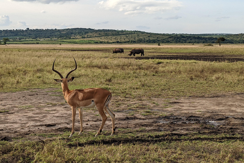 Kigali: Safari de dia inteiro no Parque Nacional de AkageraViagem de 1 dia ao parque nacional de Akagera