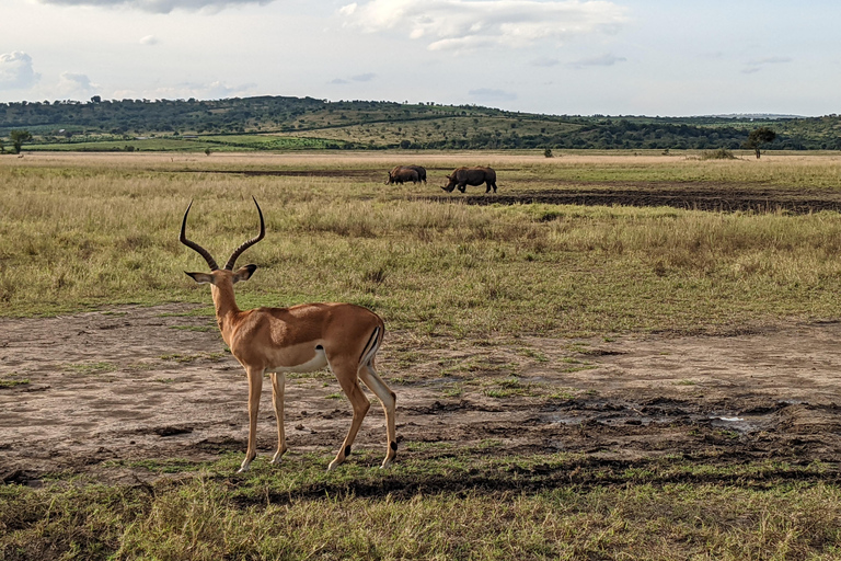 Kigali: Akagera Nationaal Park meerdaagse safariDagtrip Akagera nationaal park