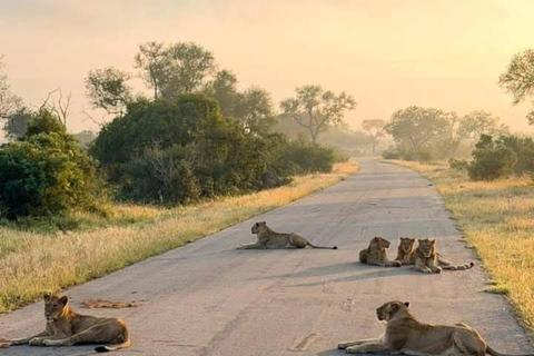 Kruger National Park South Africa & Mozambique islands tour