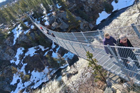 Skagway: Yukon Suspension Bridge & White Pass Scenic Tour