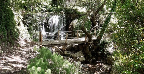 Lefkada: Path of Springs Hike with Olive Oil Tasting