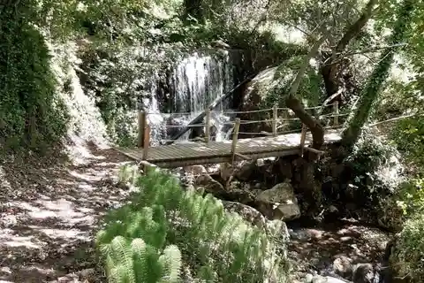 Lefkada: Caminhada pela Trilha das Nascentes com degustação de azeite