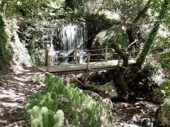 Lefkada: Path of Springs Hike with Olive Oil Tasting