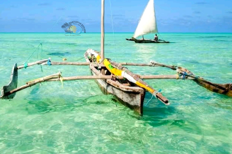 Zanzibar: Jambiani Lagoon Snorkeling & Ngalawa Sailing Tour Hotel Transfers within Southern zone.