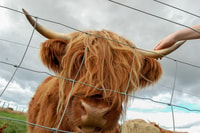 From Inverness, Isle of Skye and Fairy Pools Day Trip - Housity