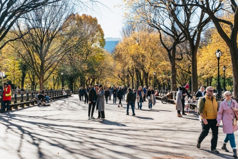 New York City: Geführte Pedicab-Tour durch den Central Park2-stündige Tour