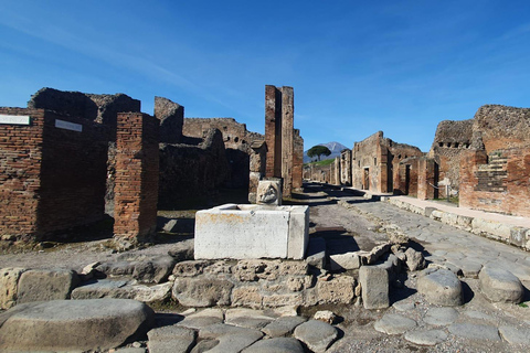 Naples: Pompeii &amp; Mt. Vesuvius Day Trip with Tickets &amp; LunchSmall Group Tour in French (up to 8 Pax)