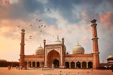 Delhi: Private Guided Instagram Photographery Tour