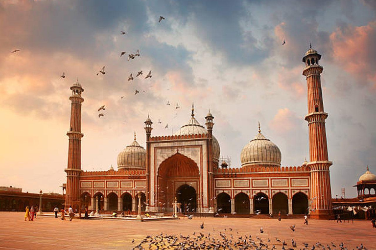 Delhi: Private Guided Instagram Photographery Tour