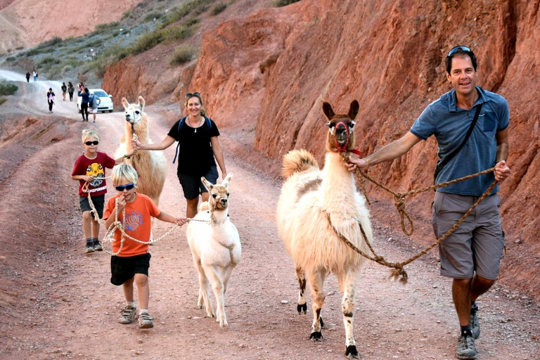 Purmamarca: Hiking with Llamas through multicolored mountains