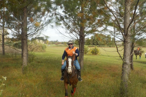 From Buenos Aires: Horseback Riding with BBQ