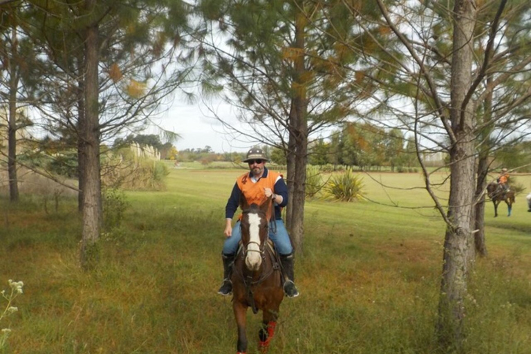 From Buenos Aires: Horseback Riding with BBQ
