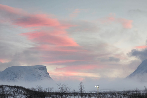 Arctic Morning - Snowshoe Experience (Private tour)