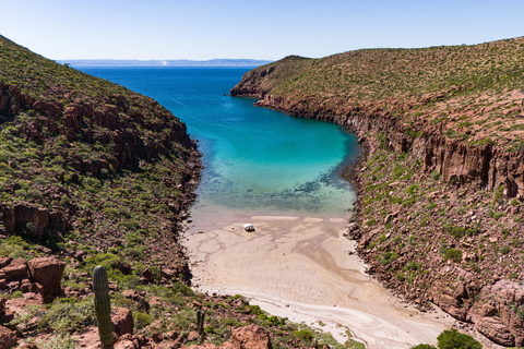 Espiritu Santo Island: Snorkeling Sea Lion Adventure