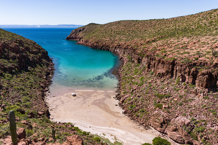Espiritu Santo Island: Snorkeling Sea Lion Adventure