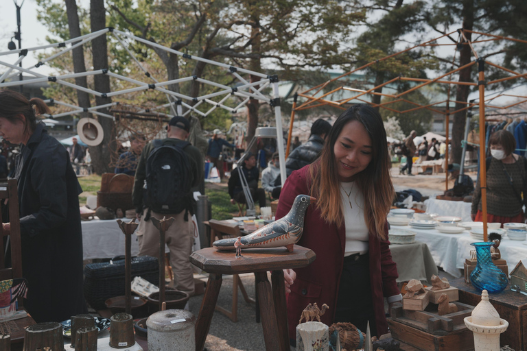 Kyoto Customisable Private Tour with a Local Guide