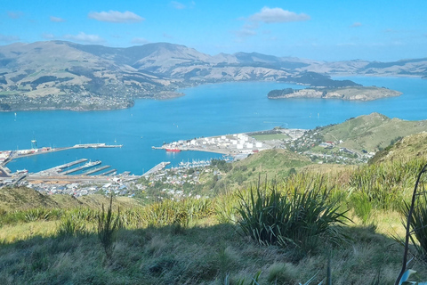 Christchurch Private Scenic Highlights Tour with Local Guide