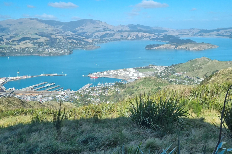 Christchurch Private Scenic Highlights Tour with Local Guide