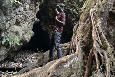 St Kitts: Bloody Point River Hike Petroglyphs+Bat Cave