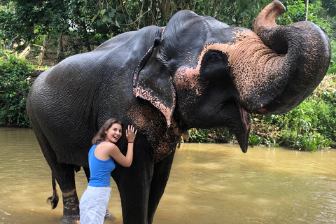 Kandy privet day tour z pinnawala i plantacją herbatyZaczynając od obszaru Negombo