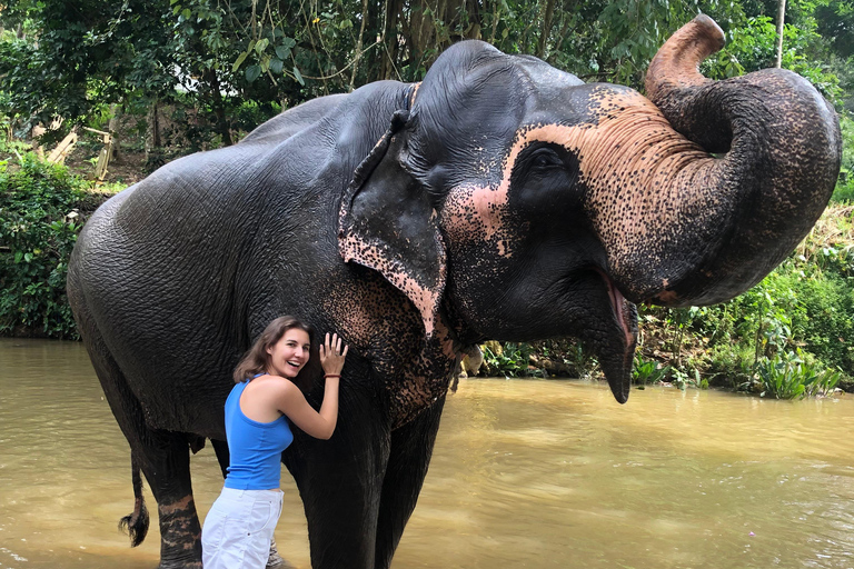 Kandy privet day tour z pinnawala i plantacją herbatyZaczynając od obszaru Negombo