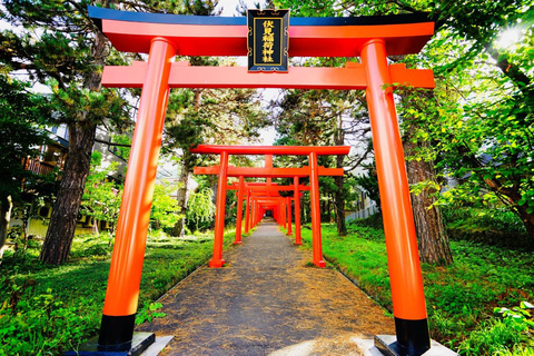 Nara & Kyoto Ancient Charm One-Day Tour Osaka Metro Nippombashi Station, Exit 2 (8:40)