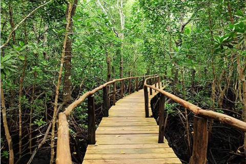 Zanzibar: las Jozani i jaskinia Salaam z odbiorem z hoteluWYCIECZKA PRYWATNA: z odbiorem z hotelu ze WSZYSTKICH HOTELI na Zanzibarze