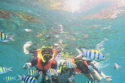 From Phi Phi: Private Luxury Longtail Boat Trip & Snorkeling 6-Hour option