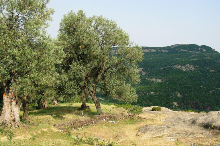 Desde Tirana/Durres/Golem: Cueva de Pellumbas y tirolinaCueva de Pellumbas, Castillo de Petrela y experimenta la tirolina