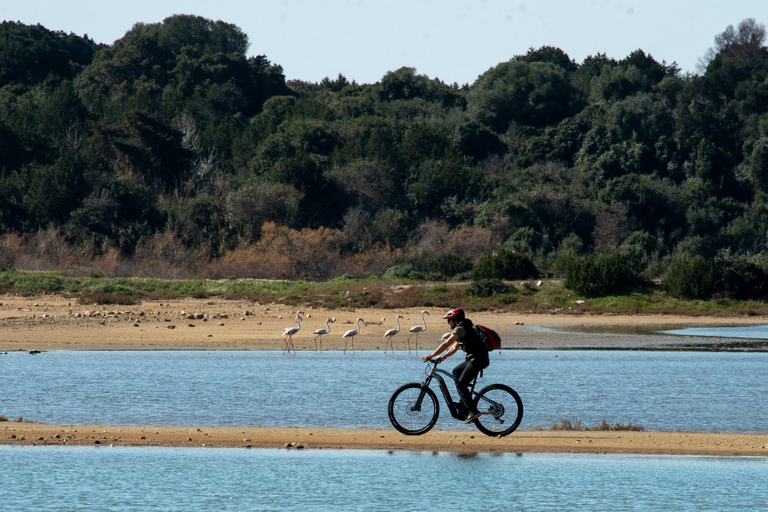 Gialova: Tour in E-Bike della Baia di Navarino con bagno nella cascata