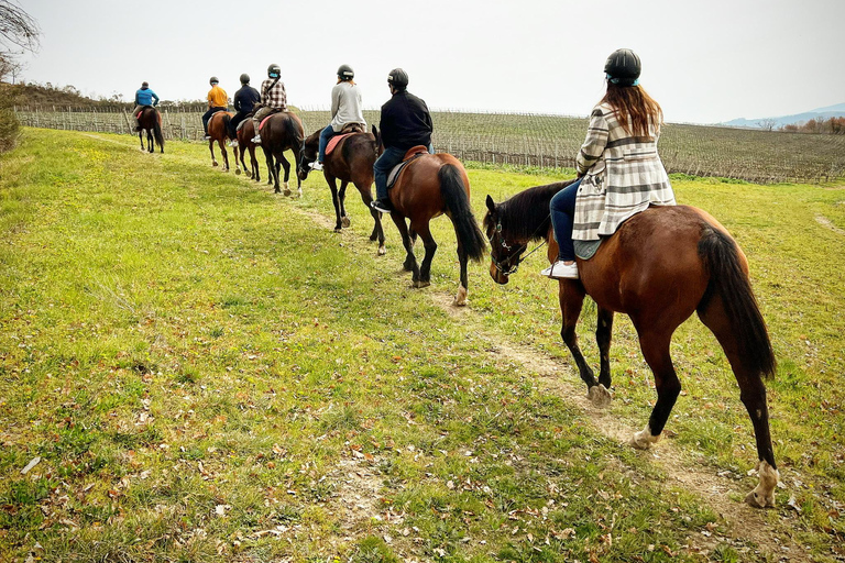 Horseback Riding with Wine Tour from Florence