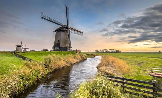 From Amsterdam: Discover the Netherlands