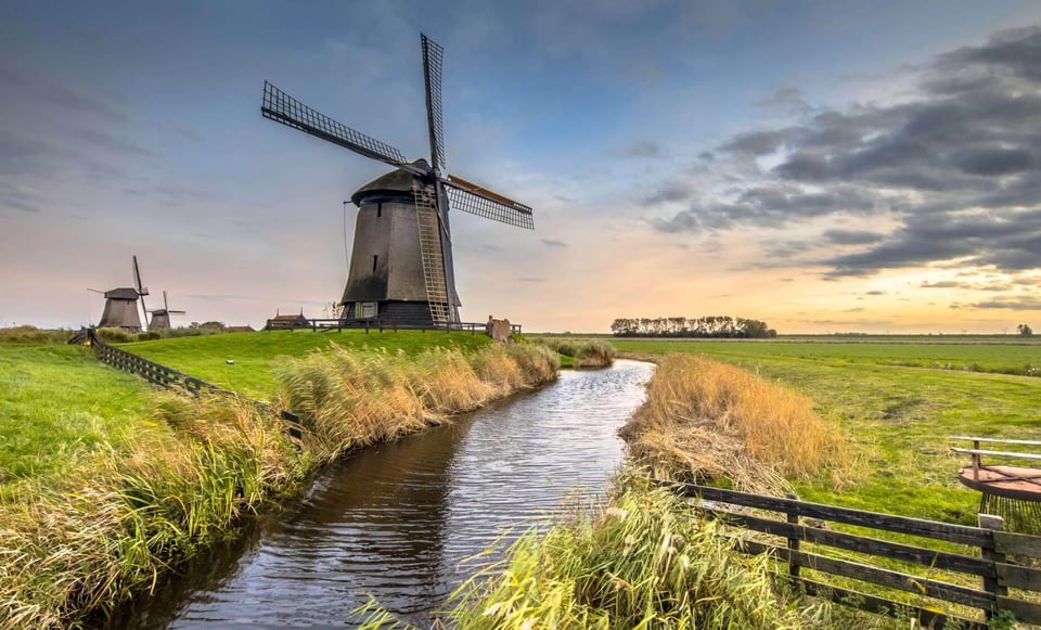 From Amsterdam: Discover the Netherlands