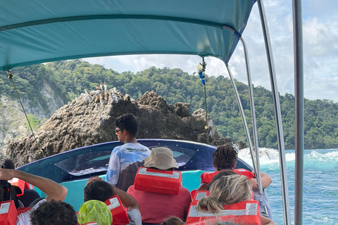 Sirena Day Tour - Local Experience in Puerto Jiménez Sirena Full-Day Sightseeing Tour - Local Experience in Puerto Jiménez