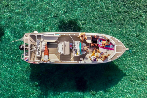 Vanuit Marseille: Iconische rondvaart door de Calanques met snorkelenMiddag rondvaart: Vertrek Vieux-Port